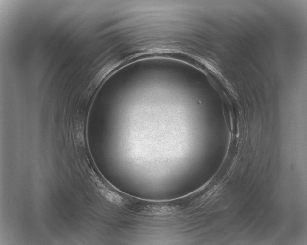 X0000059221273200510171414