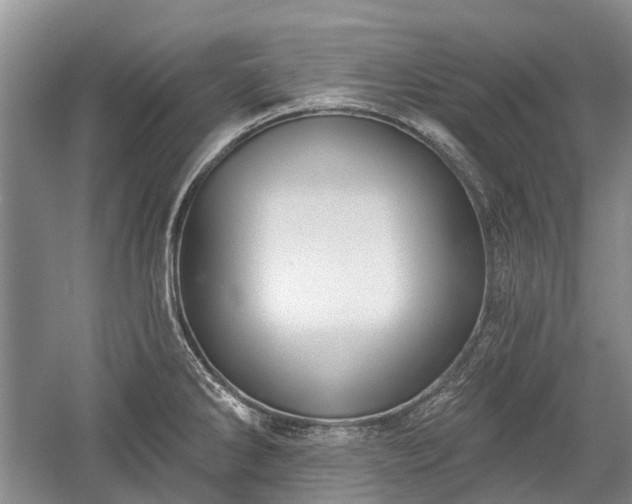 X0000059221286200510171413