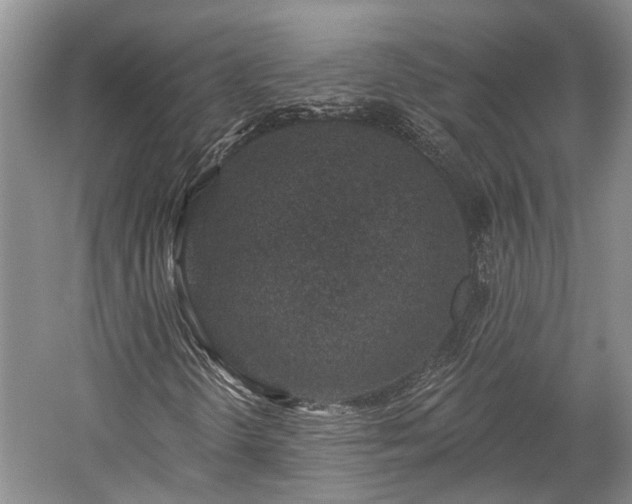 X0000059221298200510171412