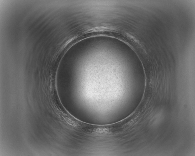 X0000059221313200510171413