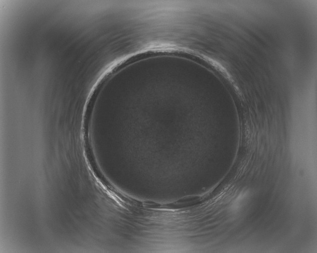 X0000059221327200510171413