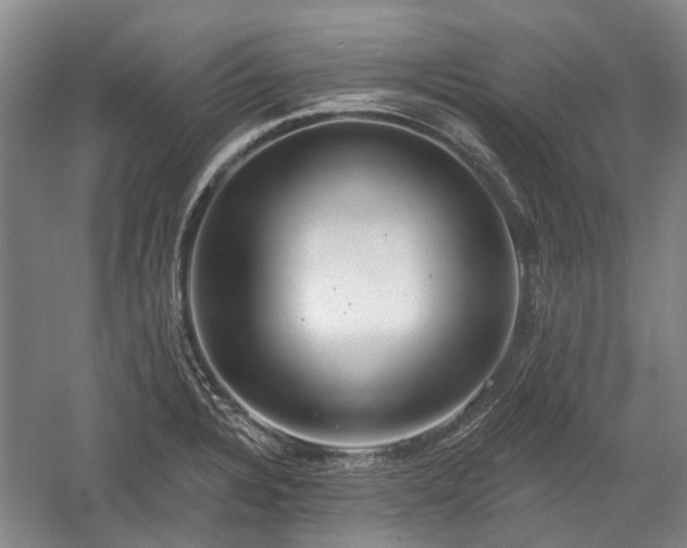X0000059221328200510171413