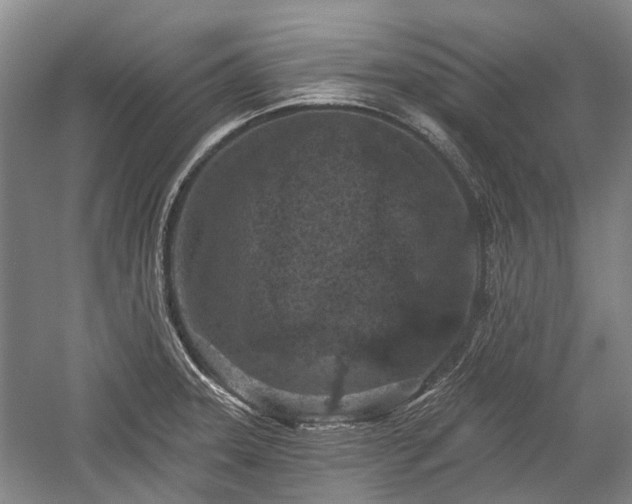 X0000059221331200510171413