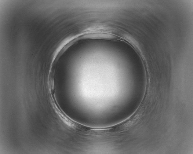 X0000059221344200510171413