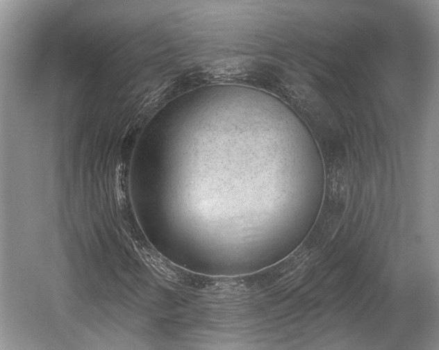 X0000059221346200510171412