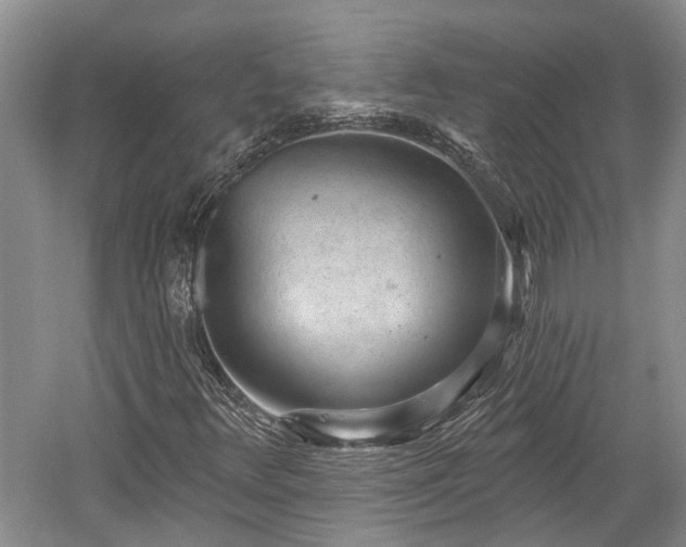 X0000059221348200510171412