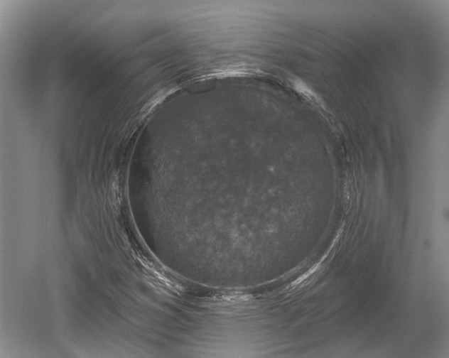 X0000059221353200510171412