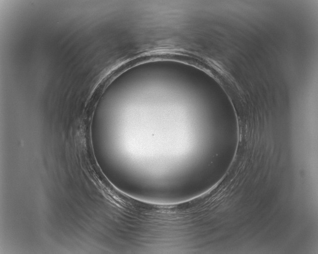 X0000059221356200510171412
