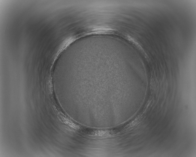 X0000059221362200510171412