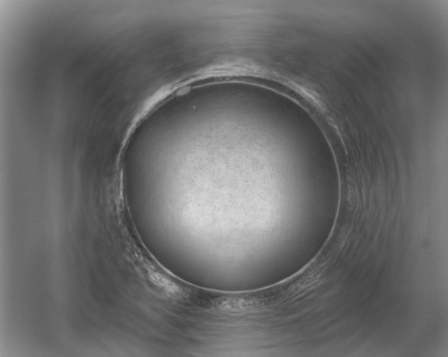 X0000059221366200510171412