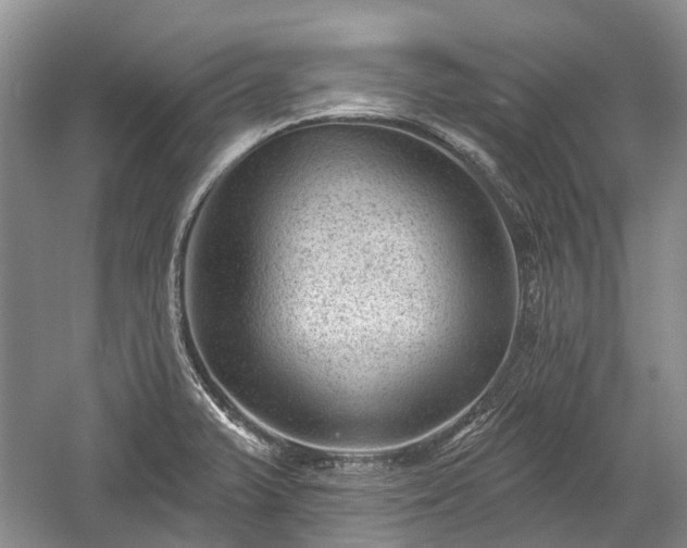 X0000059221375200510171412