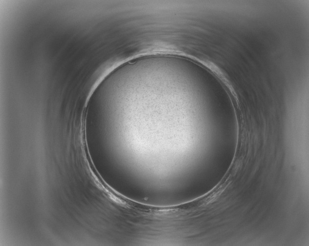 X0000059221390200510171412
