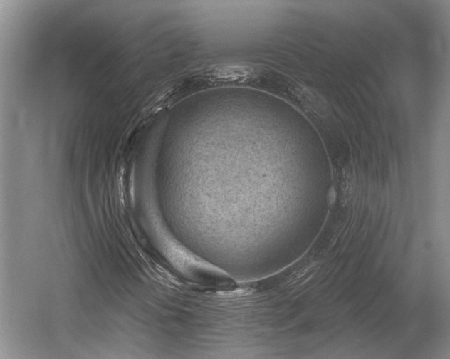 X0000059221394200510171411