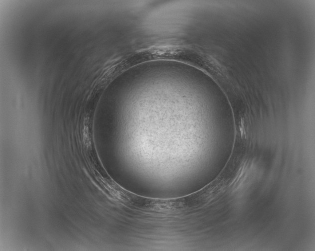 X0000059221396200510171411