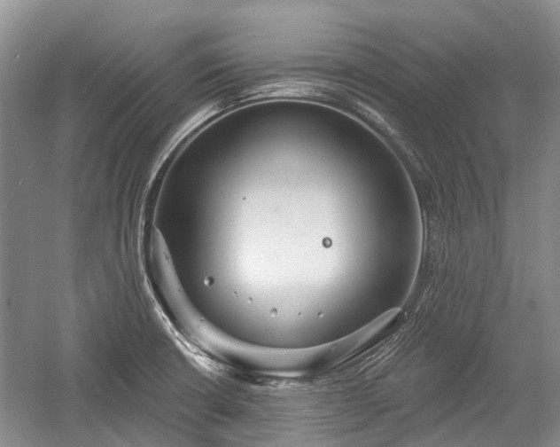 X0000059221426200510171411