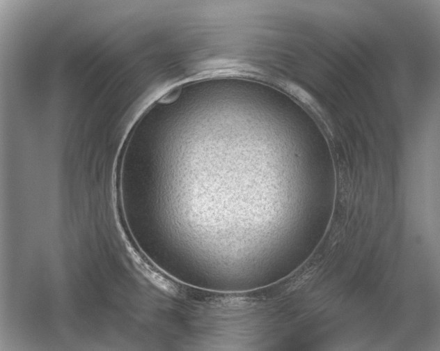 X0000059221431200510171411