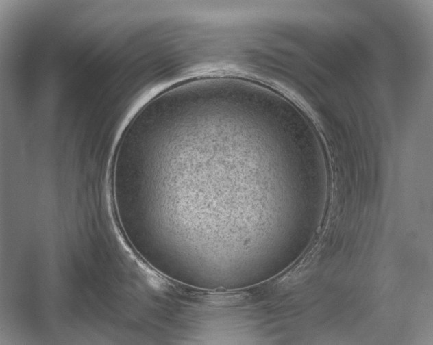 X0000059221440200510171412