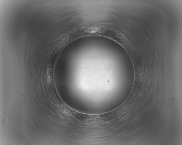 X0000059221442200510171411