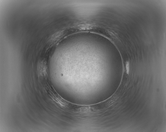 X0000059221444200510171411