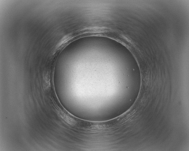 X0000059221451200510171411