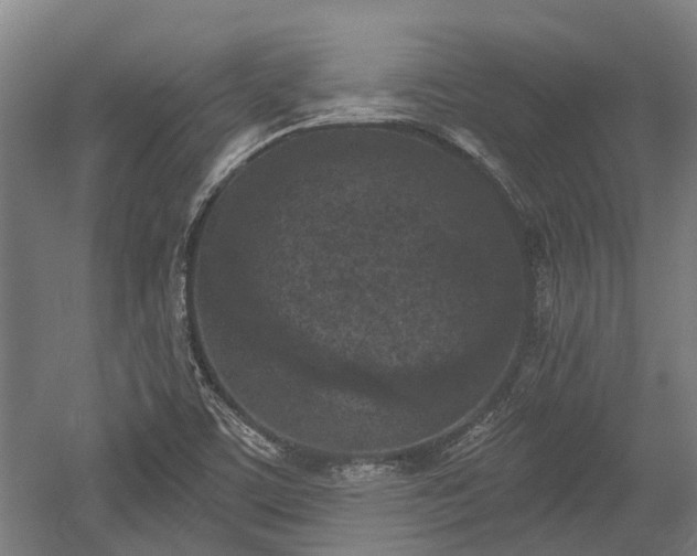X0000059221459200510171410