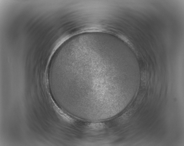 X0000059221466200510171410