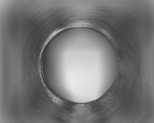 X0000059221478200510171410