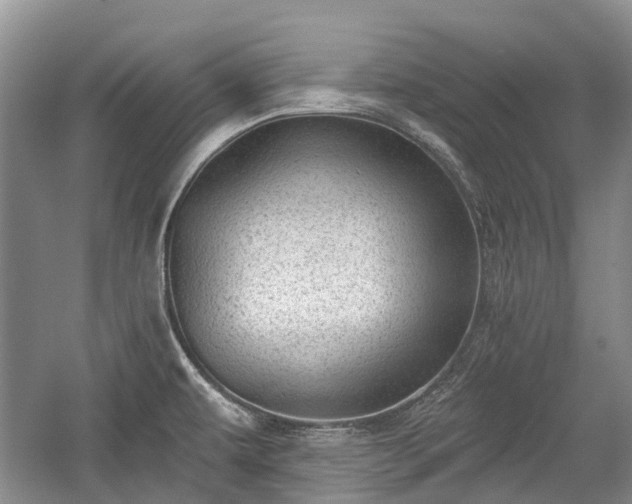 X0000059221479200510171410