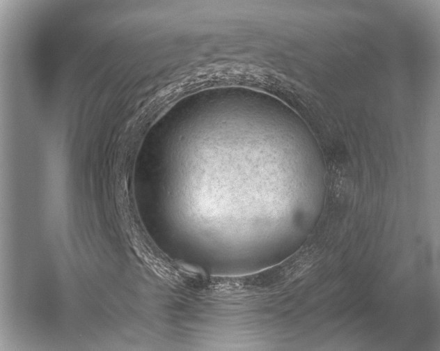 X0000059221489200510171409