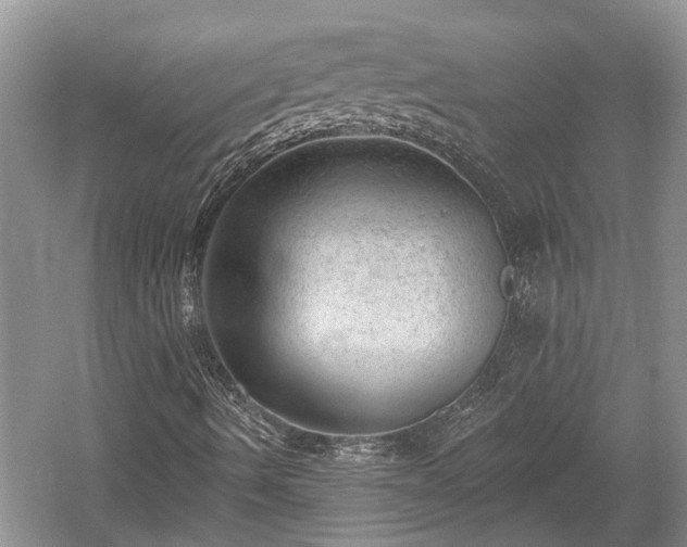 X0000059221490200510171409