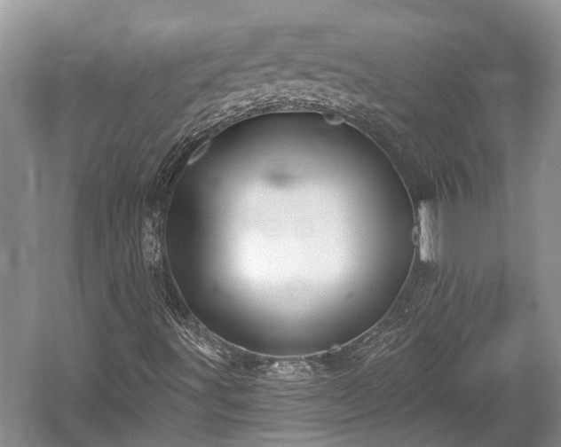 X0000059221491200510171409