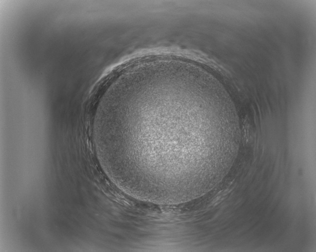 X0000059221494200510171409