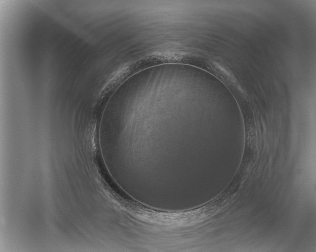 X0000059220023200510211522