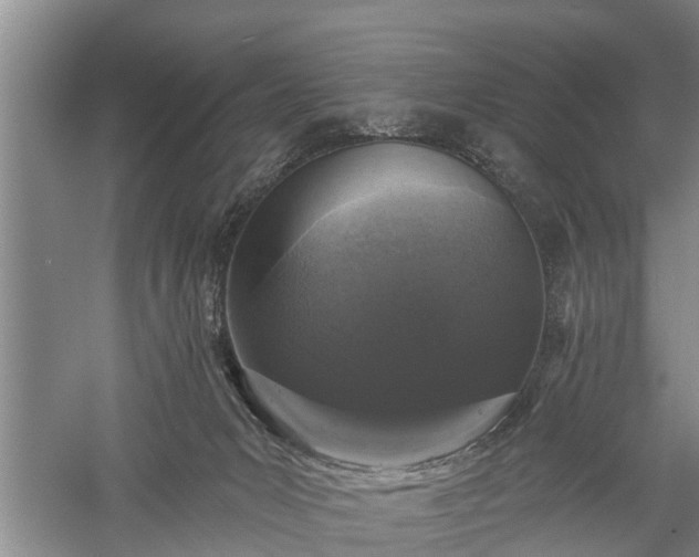 X0000059220031200510211521