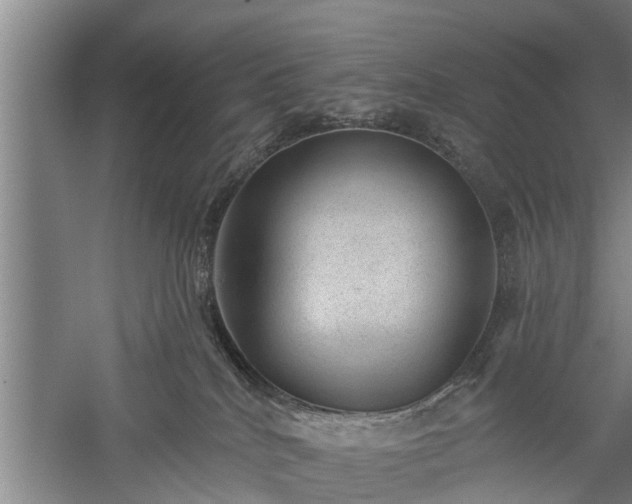 X0000059220040200510211521