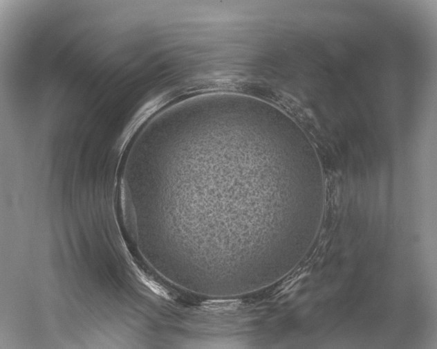 X0000059220051200510211520