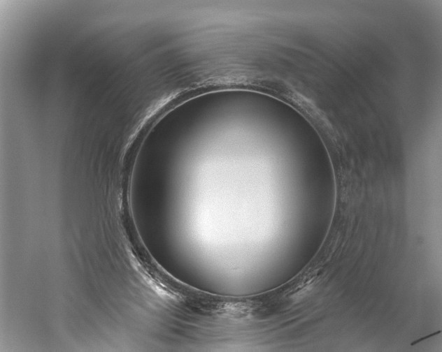 X0000059220060200510211520