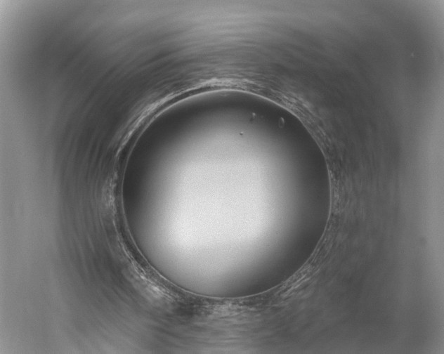 X0000059220098200510211520