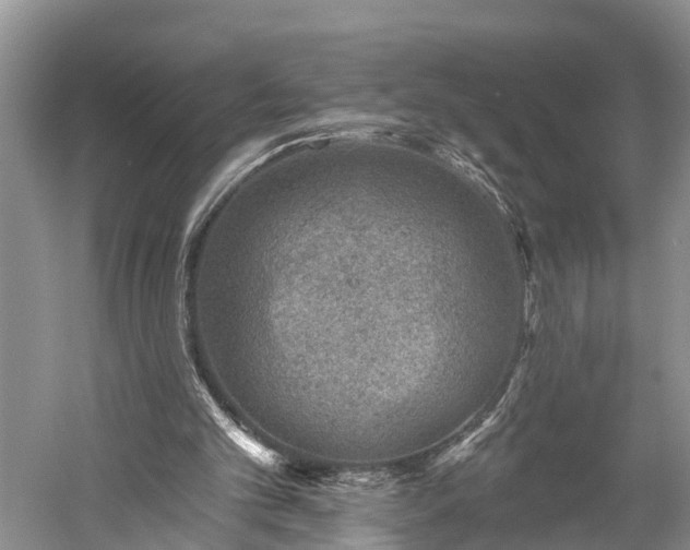 X0000059220101200510211520