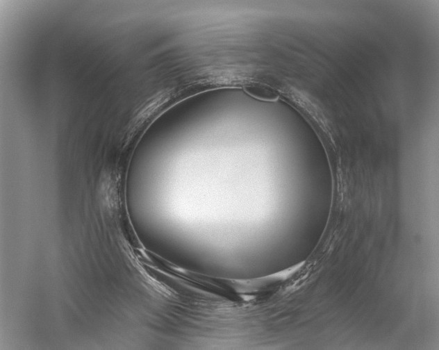X0000059220105200510211520