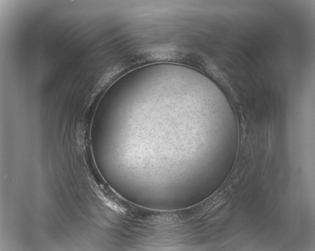 X0000059220106200510211520