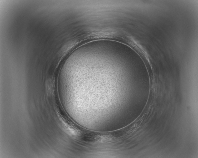 X0000059220107200510211520