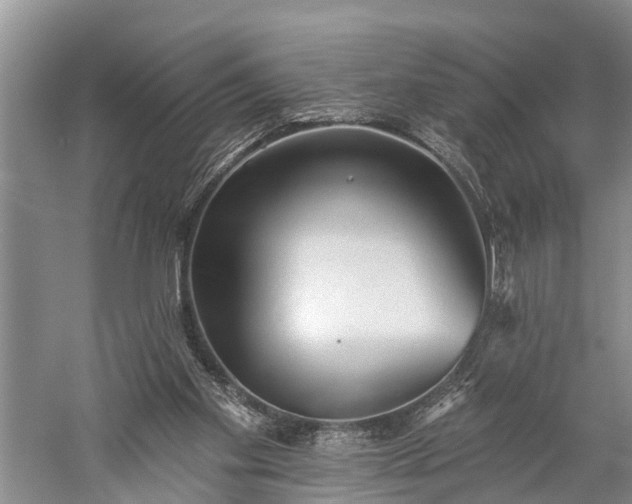 X0000059220109200510211520