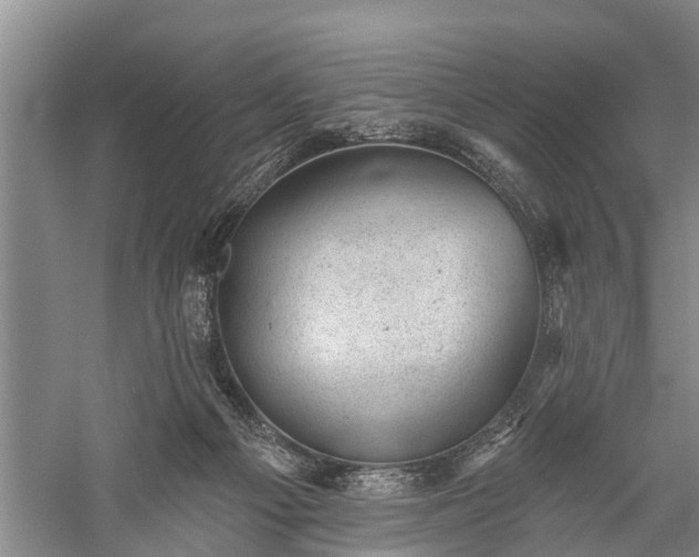 X0000059220121200510211520