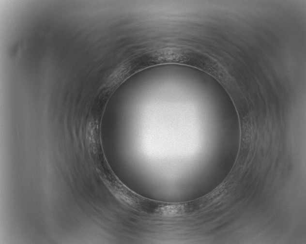 X0000059220126200510211520