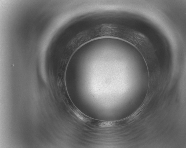 X0000059220142200510211519