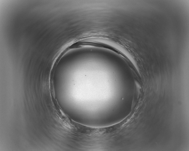 X0000059220148200510211519