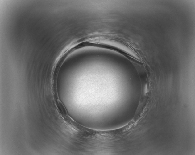 X0000059220150200510211519