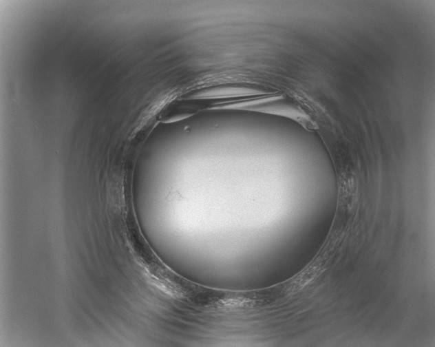 X0000059220158200510211519