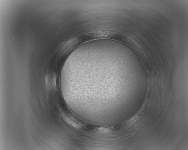 X0000059220166200510211519